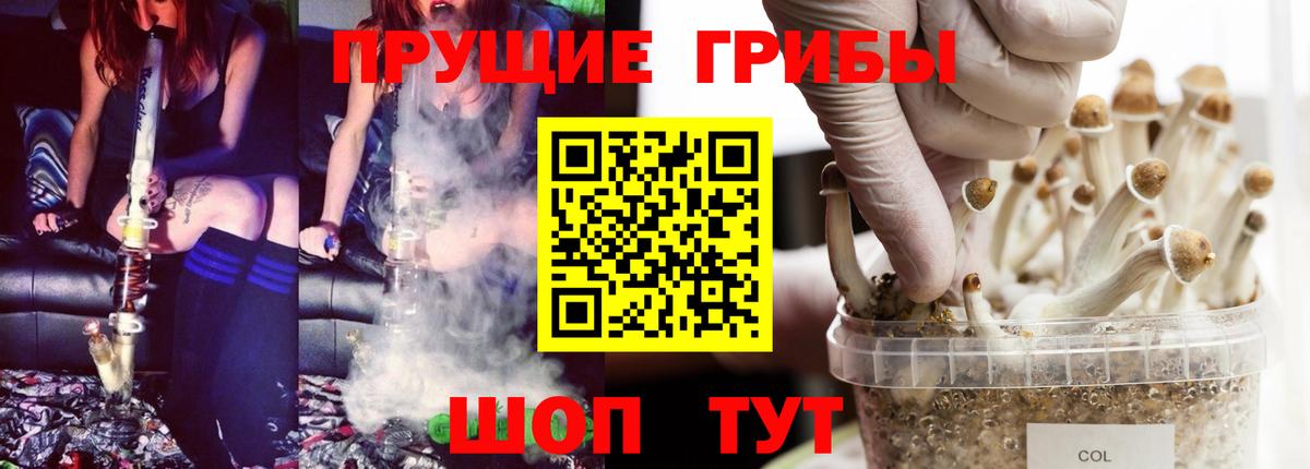 Галлюциногенные грибы мицелий  Вход с VPN  Фрязино  Галлюциногенные грибы Magic Shrooms 