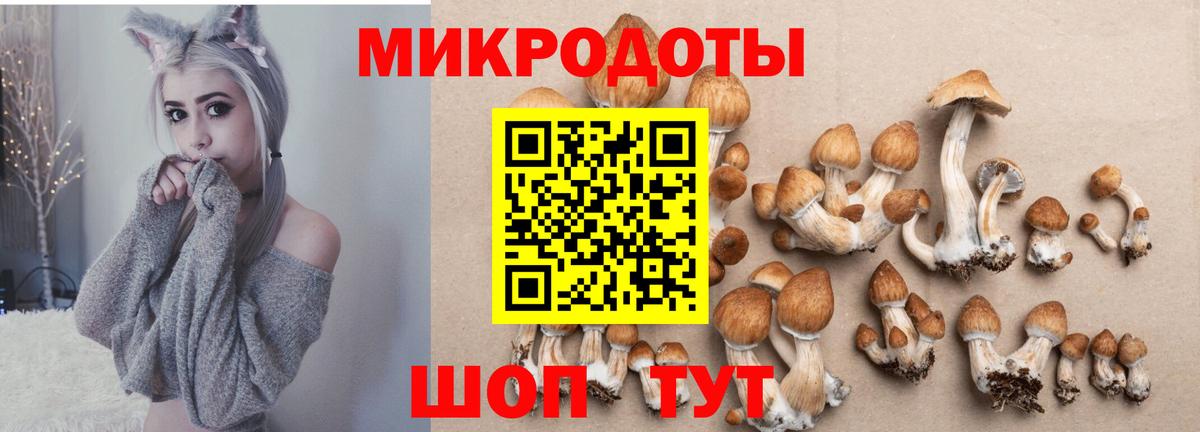 Галлюциногенные грибы Cubensis Фрязино