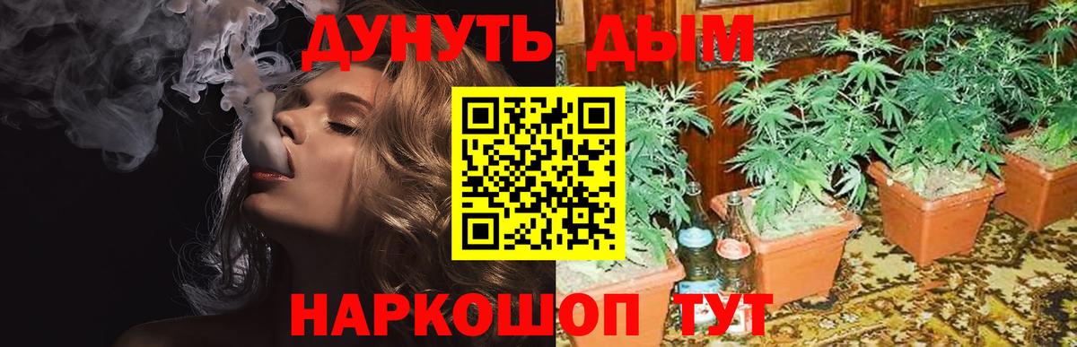 Каннабис тримм  Бошки марихуана AK-47  Вход с VPN  МАРИХУАНА THC 21%  Фрязино 